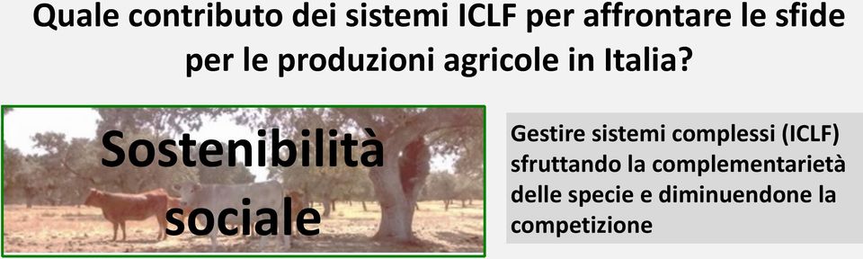 Sostenibilità sociale Gestire sistemi complessi (ICLF)