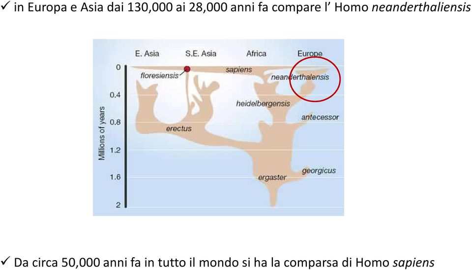 neanderthaliensis Dacirca 50,000