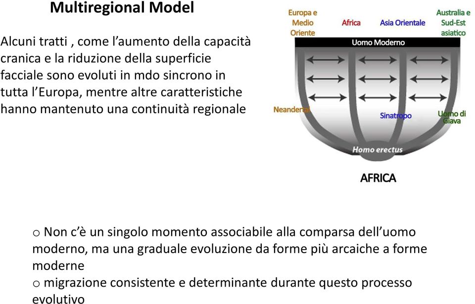 continuità regionale o Non c è un singolo momento associabile alla comparsa dell uomo moderno, ma una