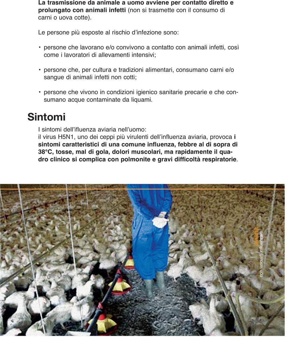 tradizioni alimentari, consumano carni e/o sangue di animali infetti non cotti; persone che vivono in condizioni igienico sanitarie precarie e che consumano acque contaminate da liquami.