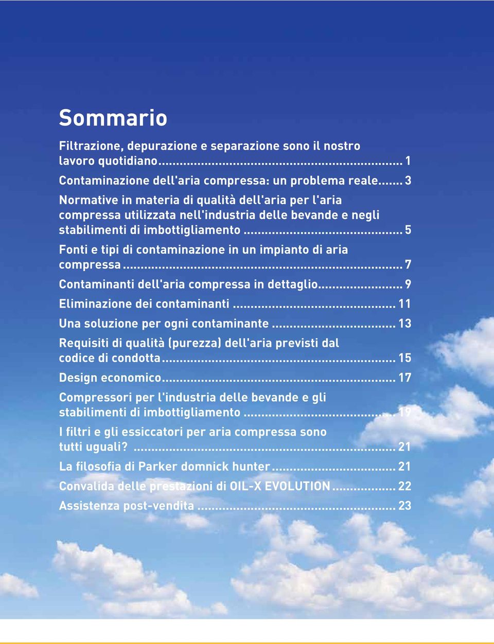 .. 5 Fonti e tipi di contaminazione in un impianto di aria compressa... 7 Contaminanti dell'aria compressa in dettaglio... 9 Eliminazione dei contaminanti... 11 Una soluzione per ogni contaminante.