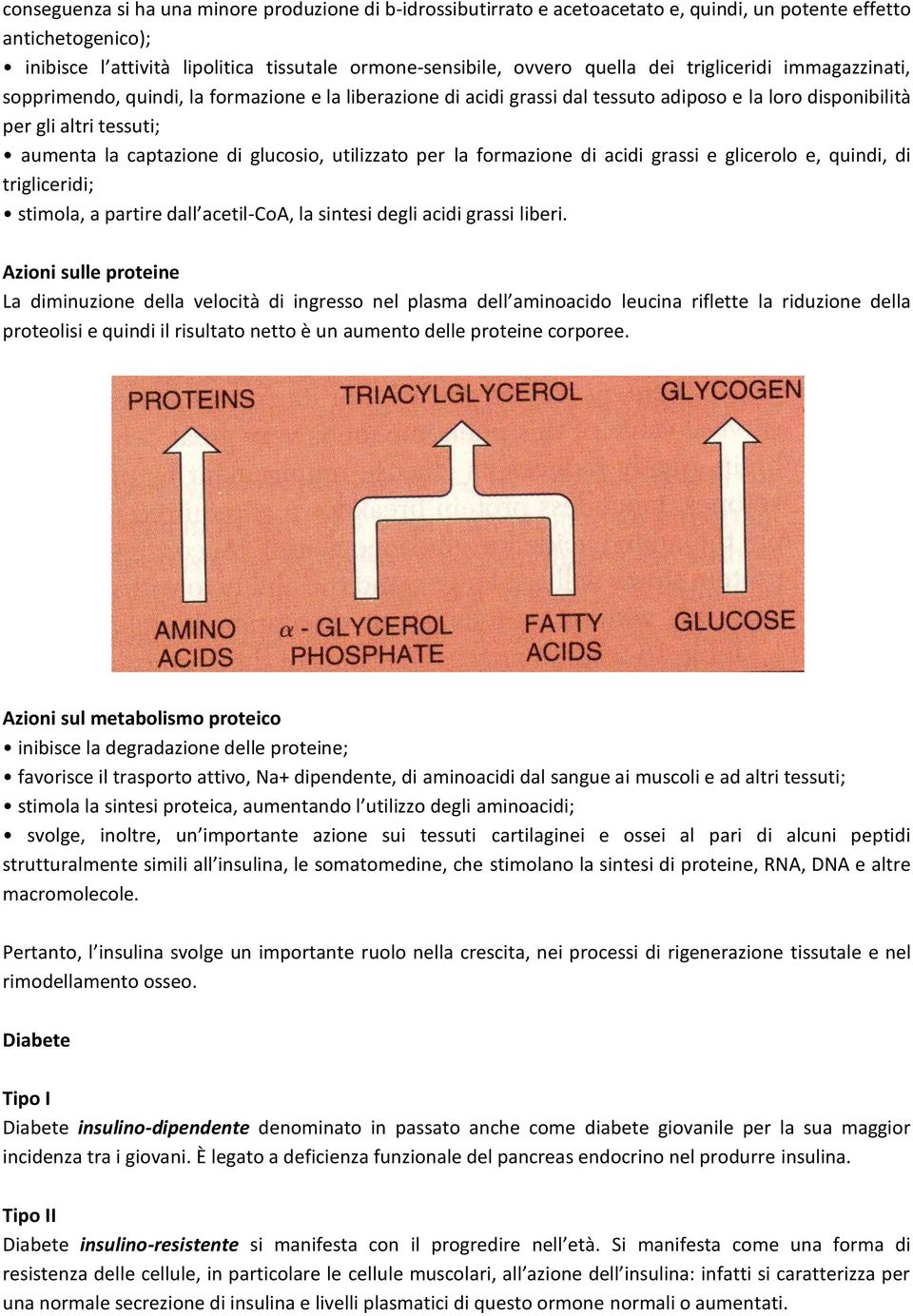glucosio, utilizzato per la formazione di acidi grassi e glicerolo e, quindi, di trigliceridi; stimola, a partire dall acetil-coa, la sintesi degli acidi grassi liberi.