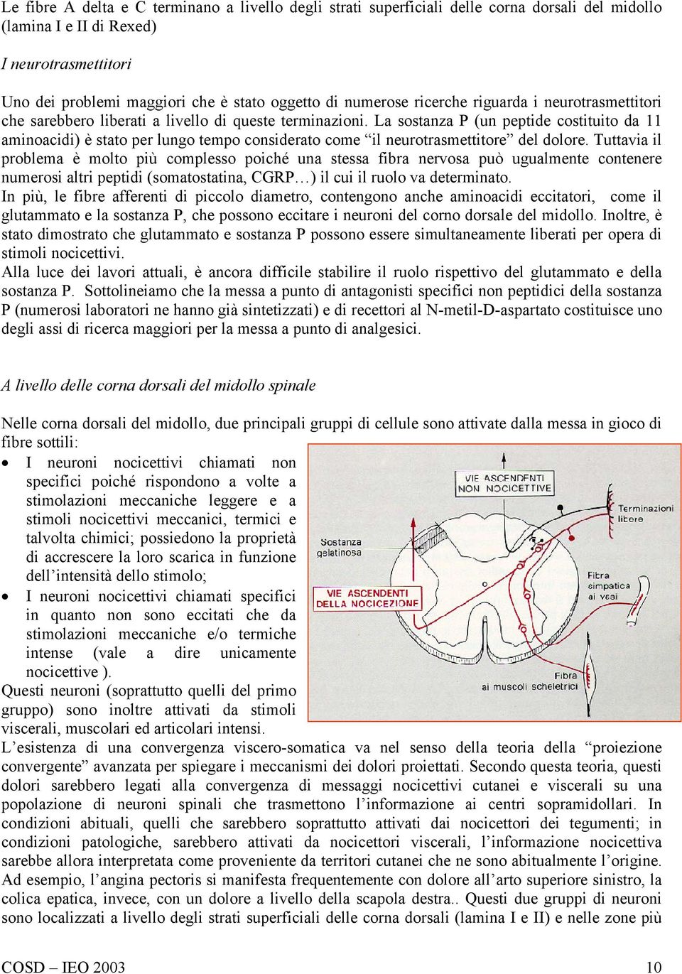 La sostanza P (un peptide costituito da 11 aminoacidi) è stato per lungo tempo considerato come il neurotrasmettitore del dolore.