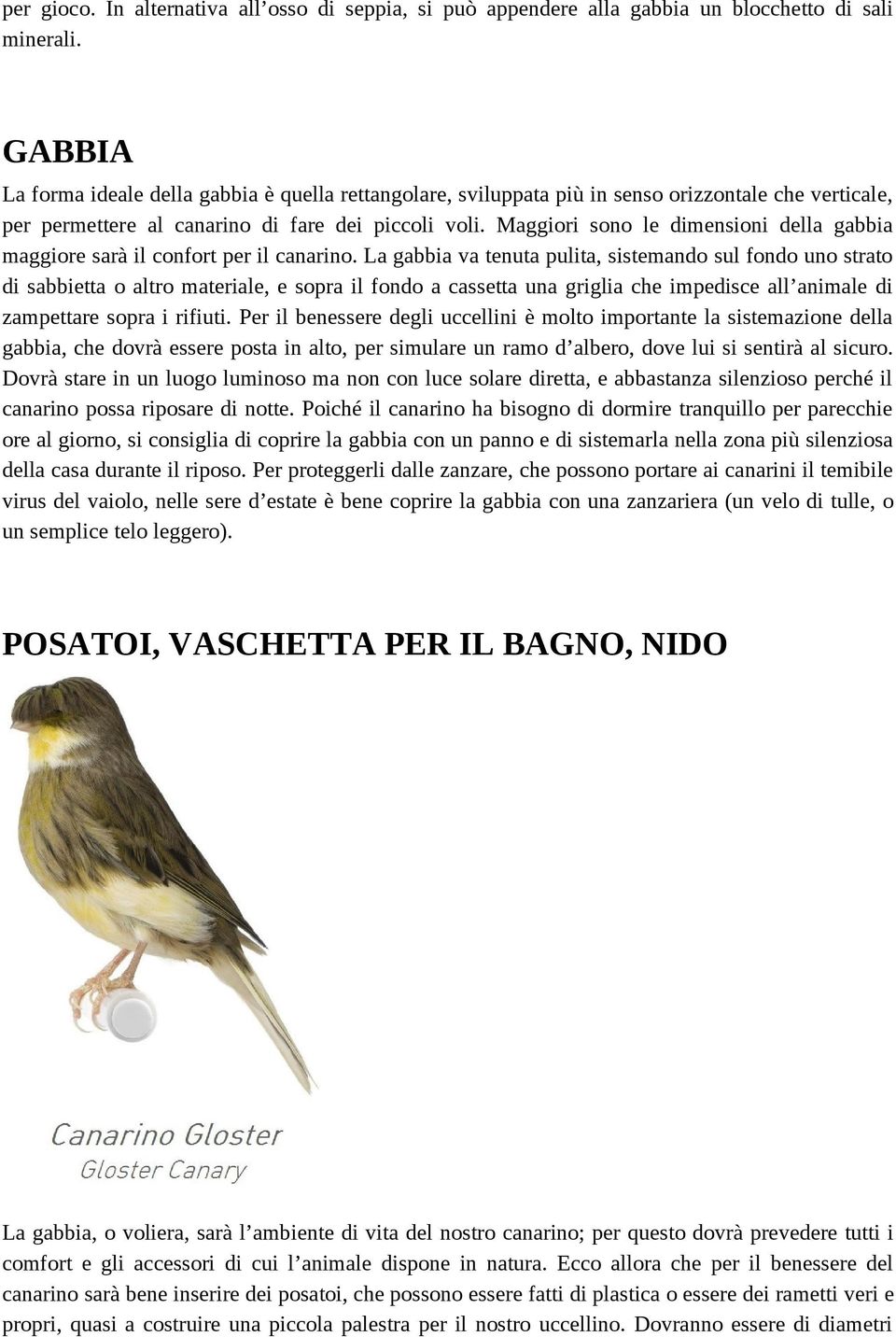 Maggiori sono le dimensioni della gabbia maggiore sarà il confort per il canarino.