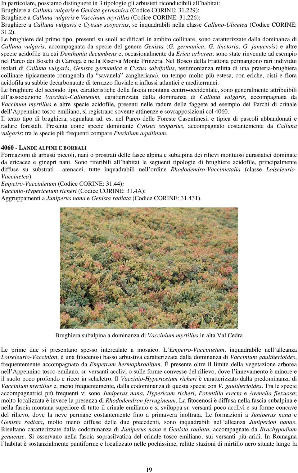 Le brughiere del primo tipo, presenti su suoli acidificati in ambito collinare, sono caratterizzate dalla dominanza di Calluna vulgaris, accompagnata da specie del genere Genista (G. germanica, G.