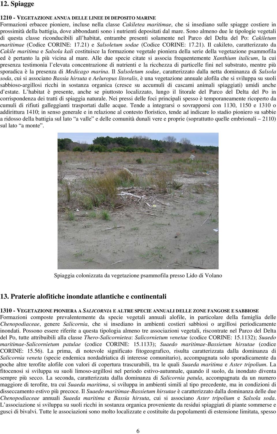 Sono almeno due le tipologie vegetali di questa classe riconducibili all habitat, entrambe presenti solamente nel Parco del Delta del Po: Cakiletum maritimae (Codice CORINE: 17.