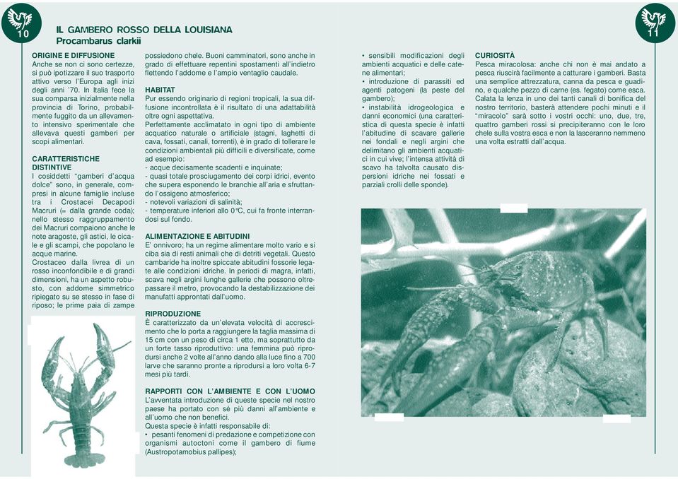 I cosiddetti gamberi d acqua dolce sono, in generale, compresi in alcune famiglie incluse tra i Crostacei Decapodi Macruri (= dalla grande coda); nello stesso raggruppamento dei Macruri compaiono