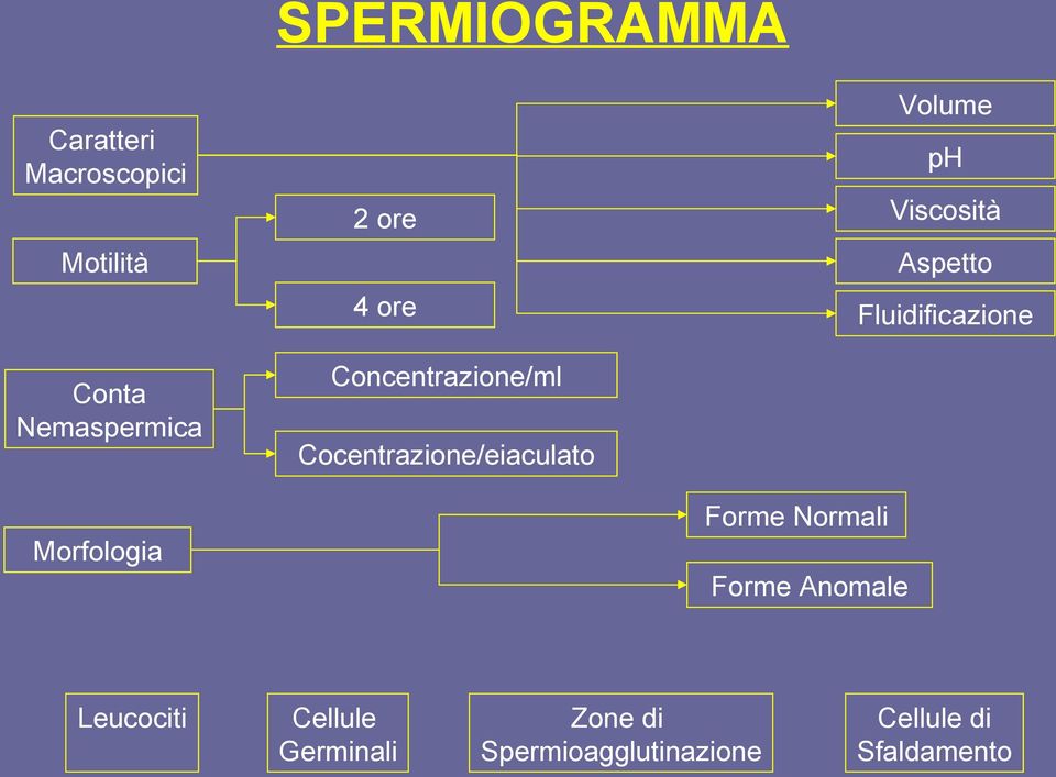 Aspetto Fluidificazione Morfologia Forme Normali Forme Anomale