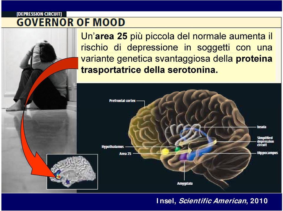 variante genetica svantaggiosa della proteina