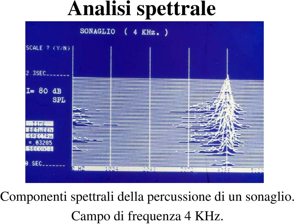 della percussione di un