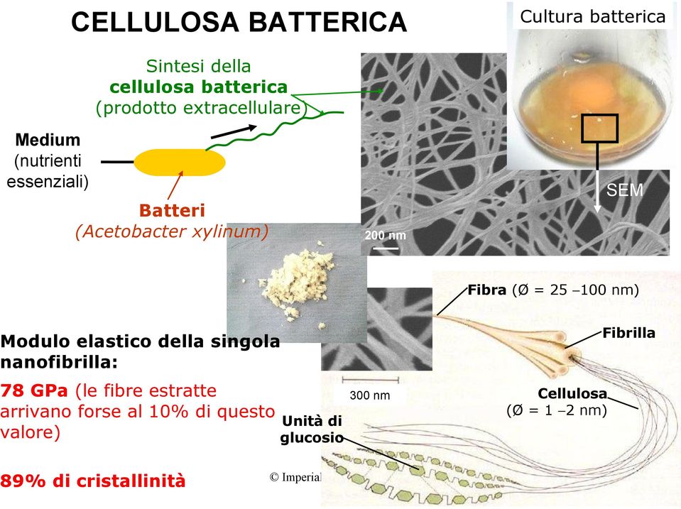 Modulo elastico della singola nanofibrilla: 78 GPa (le fibre estratte arrivano forse al 10% di questo