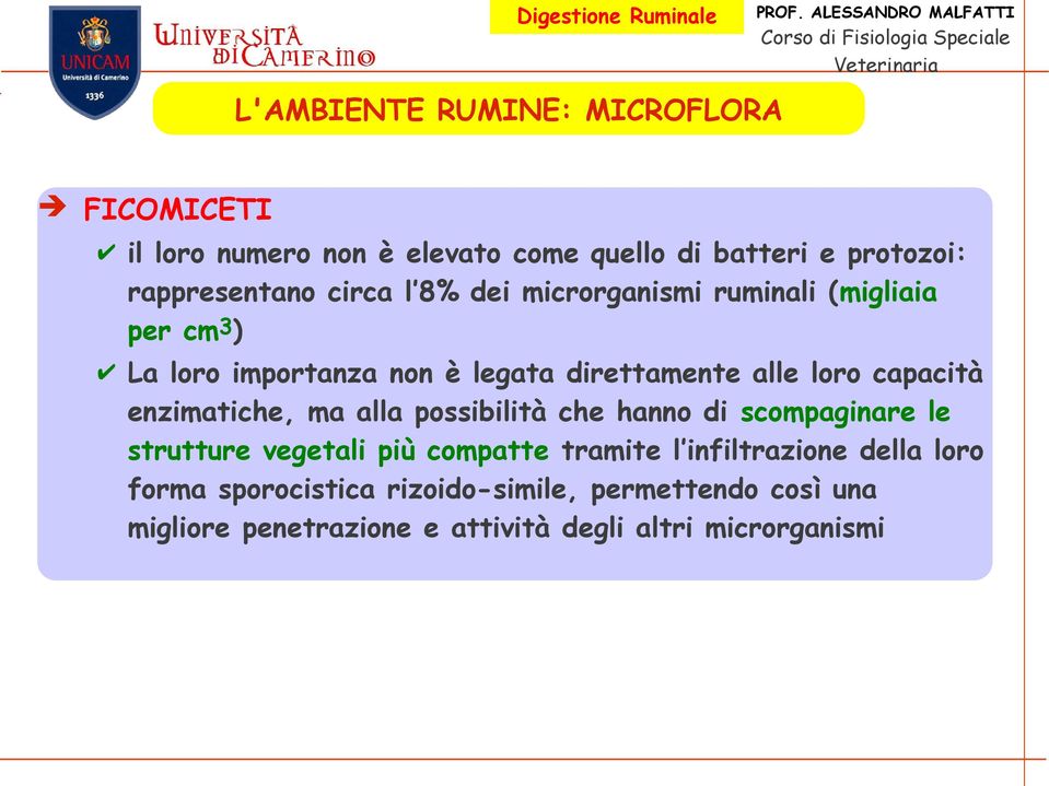 enzimatiche, ma alla possibilità che hanno di scompaginare le strutture vegetali più compatte tramite l infiltrazione