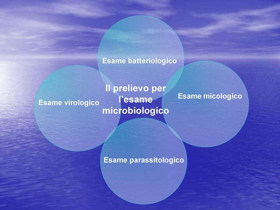 esame microbiologico Esame