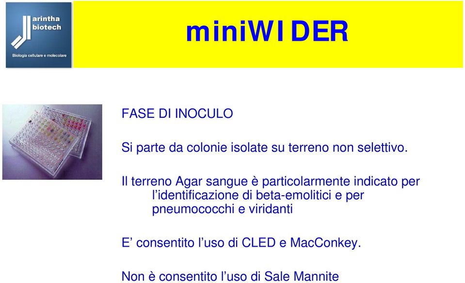 Il terreno Agar sangue è particolarmente indicato per l