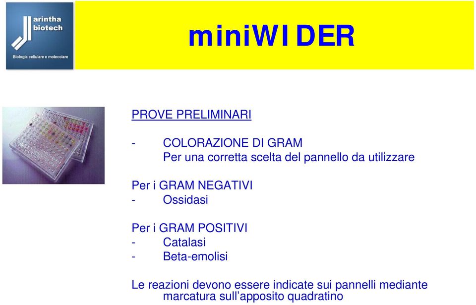 GRAM POSITIVI - Catalasi - Beta-emolisi Le reazioni devono