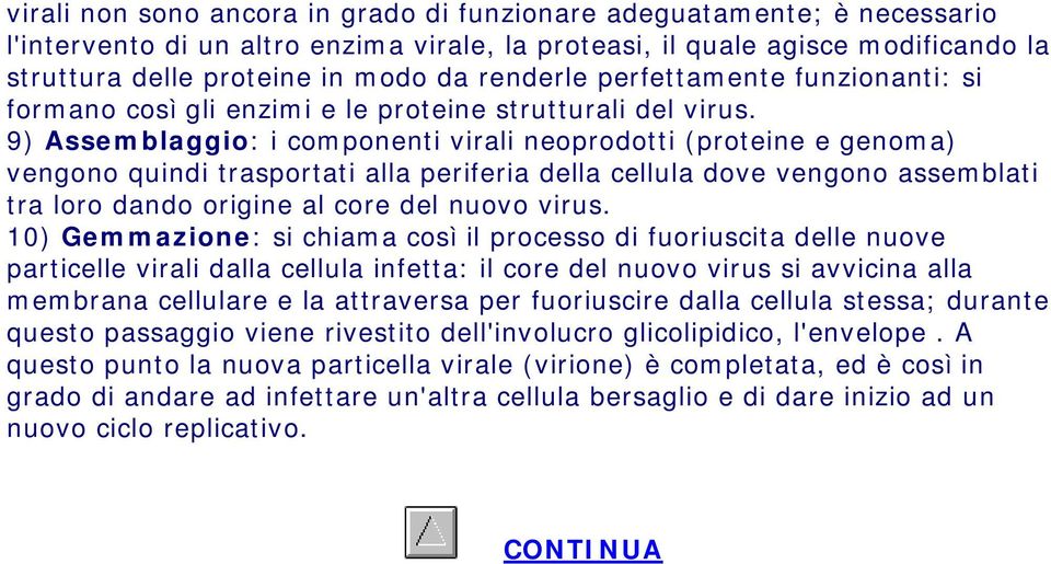 9) Assemblaggio: i componenti virali neoprodotti (proteine e genoma) vengono quindi trasportati alla periferia della cellula dove vengono assemblati tra loro dando origine al core del nuovo virus.