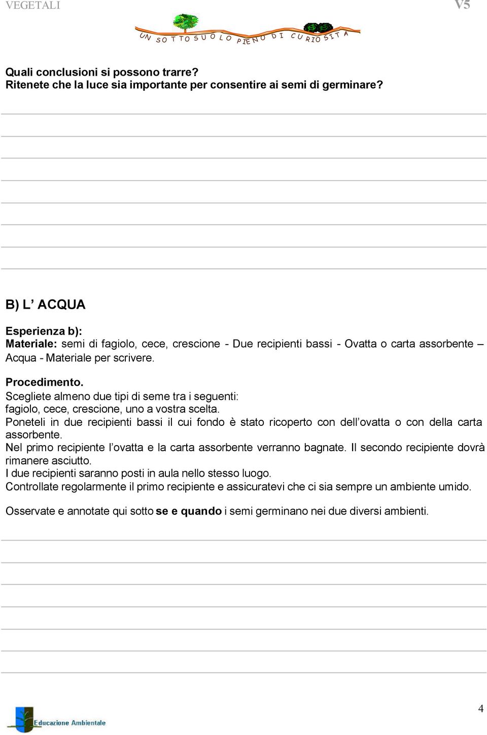 Scegliete almeno due tipi di seme tra i seguenti: fagiolo, cece, crescione, uno a vostra scelta.