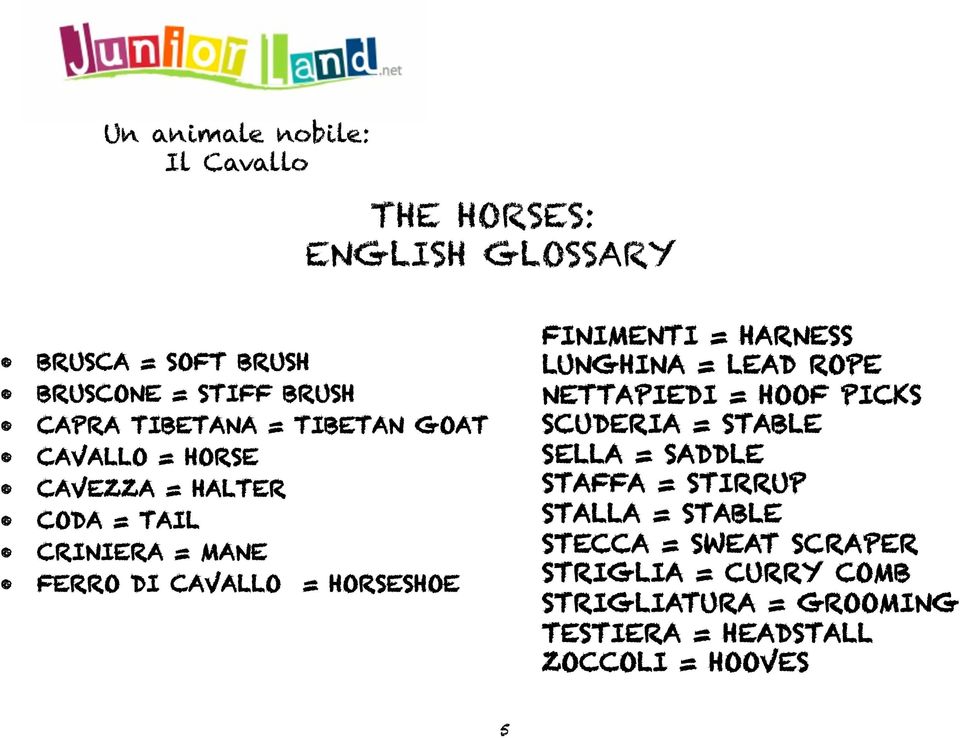 HARNESS LUNGHINA = LEAD ROPE NETTAPIEDI = HOOF PICKS SCUDERIA = STABLE SELLA = SADDLE STAFFA = STIRRUP