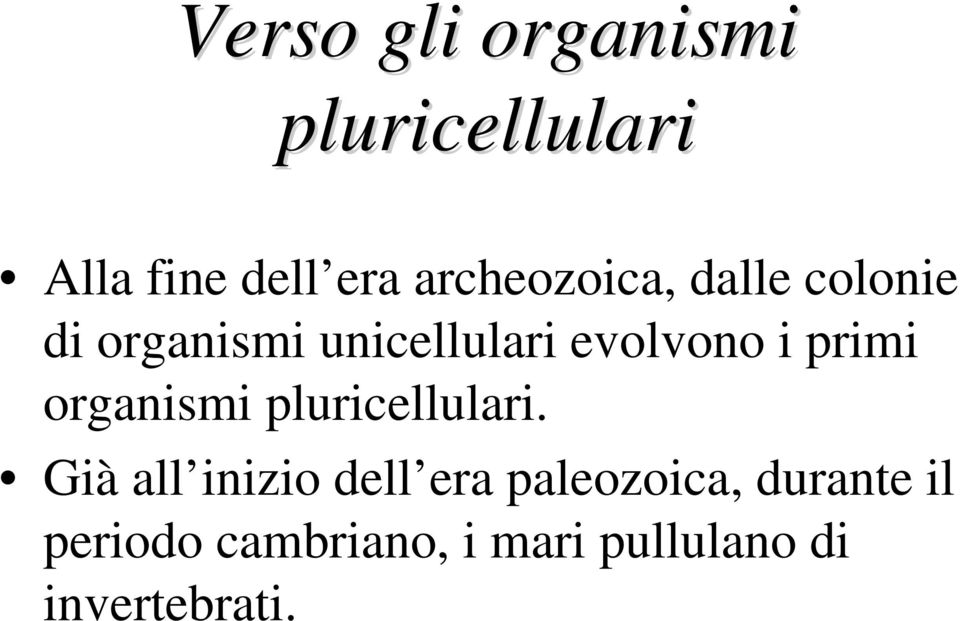 i primi organismi pluricellulari.