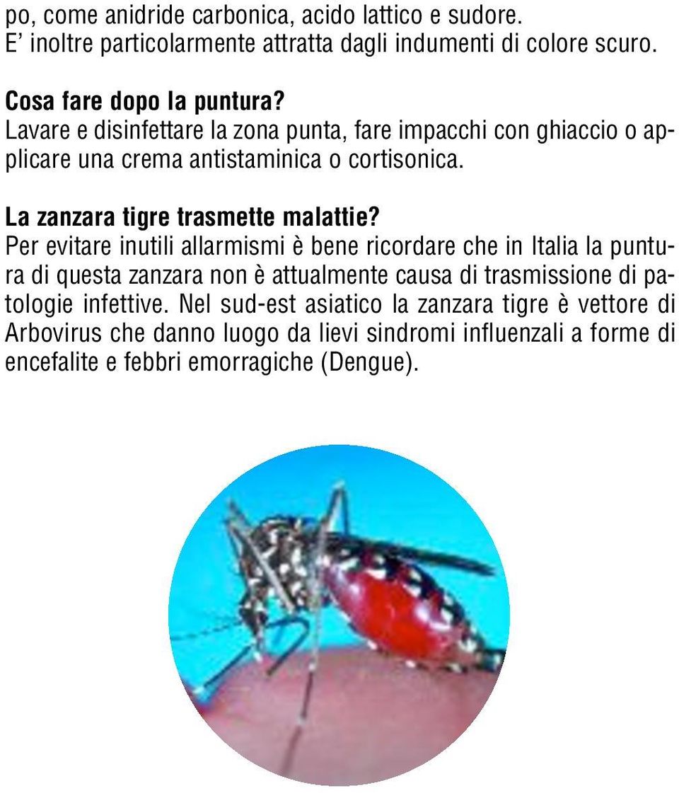 Per evitare inutili allarmismi è bene ricordare che in Italia la puntura di questa zanzara non è attualmente causa di trasmissione di patologie infettive.
