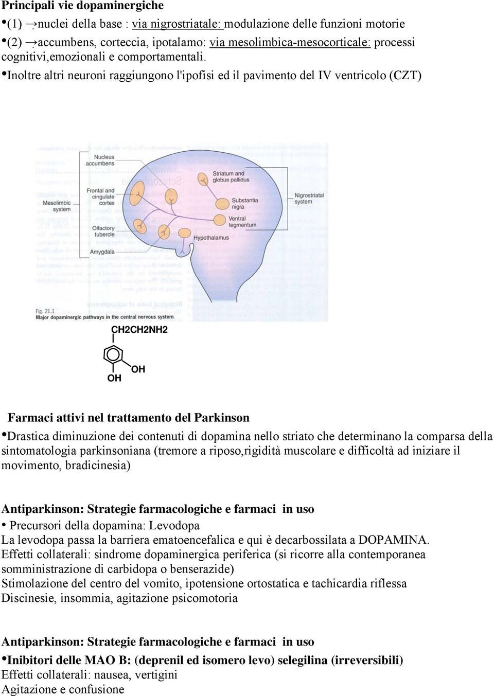 Inoltre altri neuroni raggiungono l'ipofisi ed il pavimento del IV ventricolo (CZT) CH2CH2NH2 OH OH Farmaci attivi nel trattamento del Parkinson Drastica diminuzione dei contenuti di dopamina nello