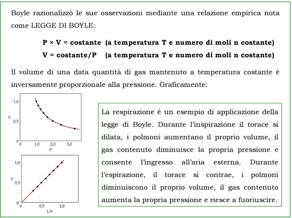 Graficamente: La respirazione è un esempio di applicazione della legge di Boyle.