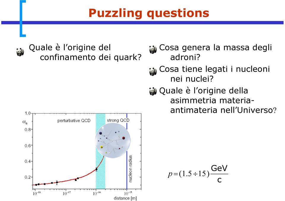 Cosa tiene legati i nucleoni nei nuclei?