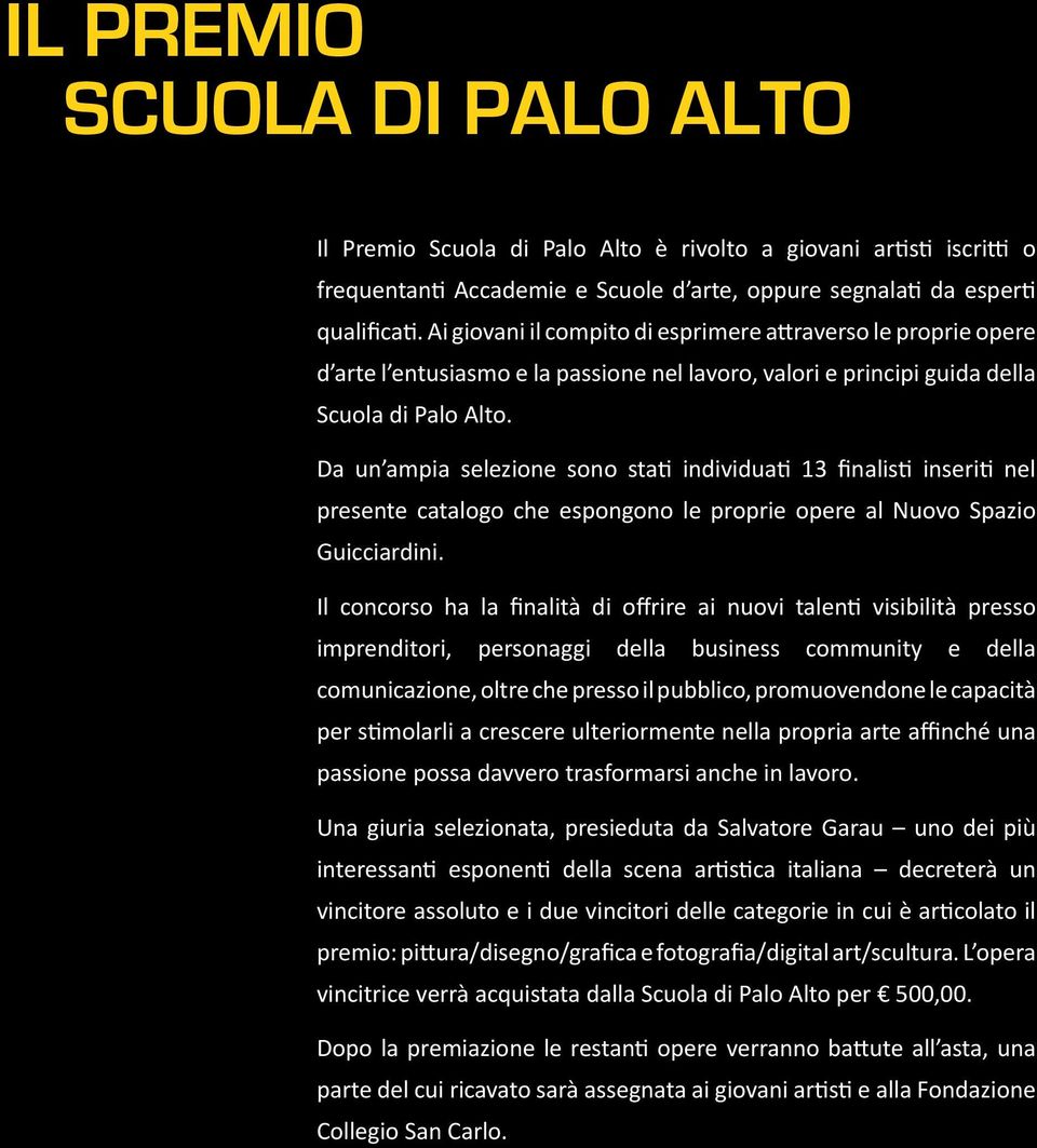 Da un ampia selezione sono stati individuati 13 finalisti inseriti nel presente catalogo che espongono le proprie opere al Nuovo Spazio Guicciardini.