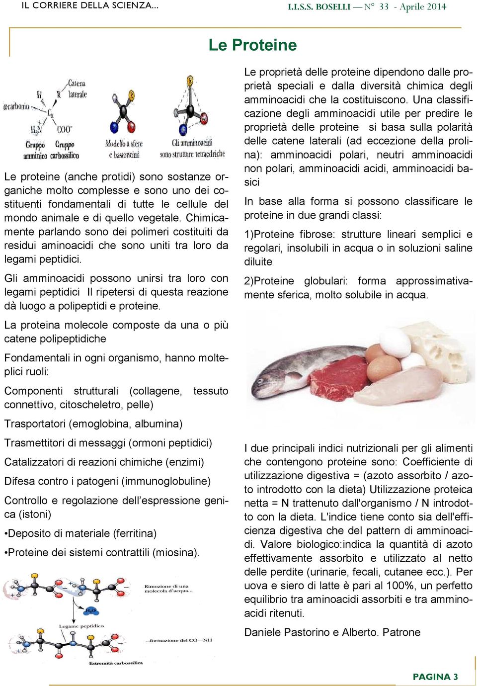 Gli amminoacidi possono unirsi tra loro con legami peptidici Il ripetersi di questa reazione dà luogo a polipeptidi e proteine.