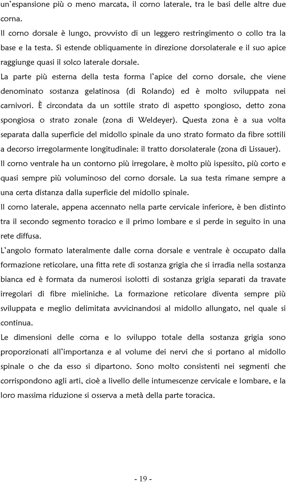 La parte più esterna della testa forma l apice del corno dorsale, che viene denominato sostanza gelatinosa (di Rolando) ed è molto sviluppata nei carnivori.