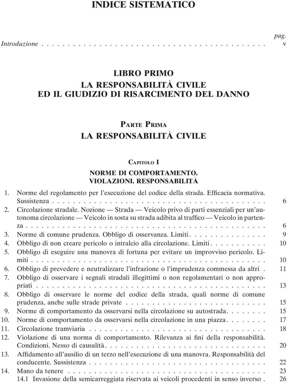 Norme del regolamento per l esecuzione del codice della strada. Efficacia normativa. Sussistenza......................................... 6 2. Circolazione stradale.