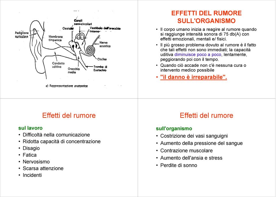 Quando ciò accade non c'è nessuna cura o intervento medico possibile "il danno è irreparabile".