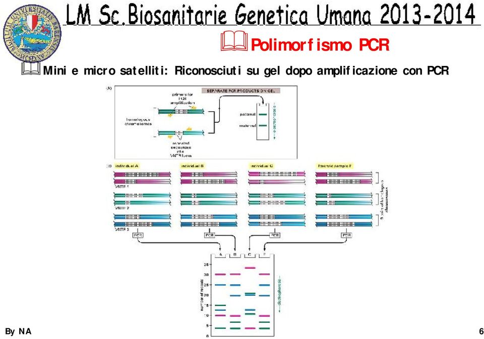 Riconosciuti su gel dopo