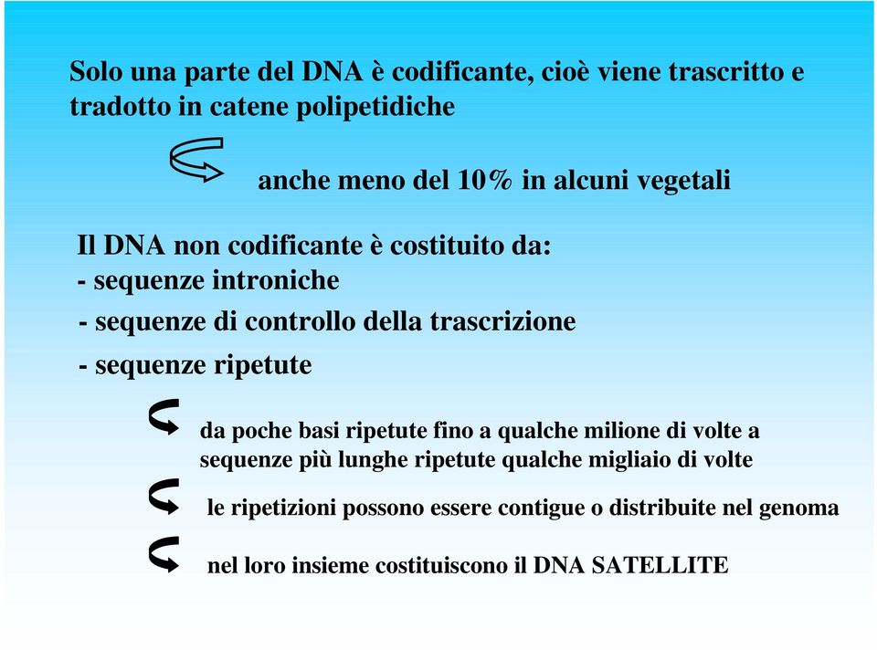 - sequenze ripetute da poche basi ripetute fino a qualche milione di volte a sequenze più lunghe ripetute qualche