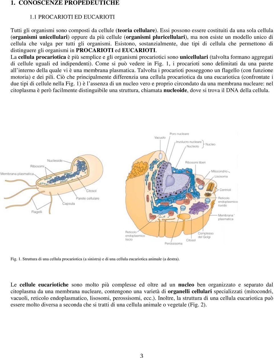 organismi. Esistono, sostanzialmente, due tipi di cellula che permettono di distinguere gli organismi in PROCARIOTI ed EUCARIOTI.