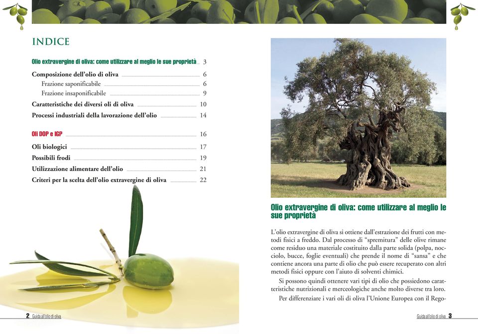 .. 19 Utilizzazione alimentare dell olio... 21 Criteri per la scelta dell olio extravergine di oliva.
