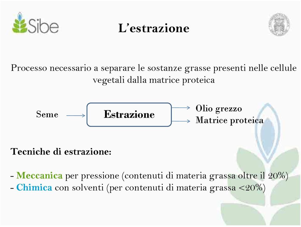 proteica Tecniche di estrazione: - Meccanica per pressione (contenuti di