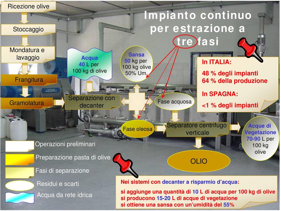 Operazioni preliminari Preparazione pasta di olive Fasi di separazione Fase oleosa Separatore centrifugo verticale OLIO Acque di Vegetazione 70-90 L per 100 kg olive Residui e