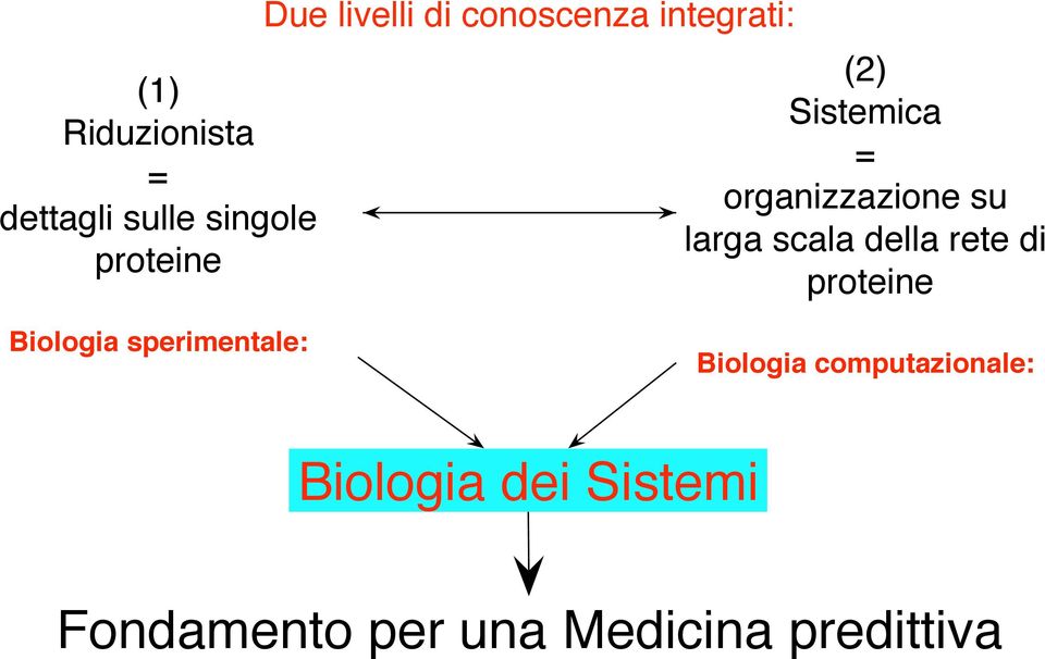 scala della rete di proteine Biologia sperimentale: Biologia