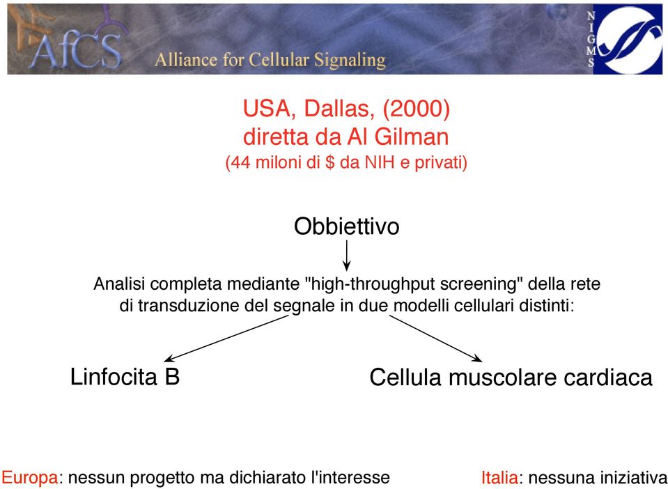 transduzione del segnale in due modelli cellulari distinti: Linfocita B Cellula