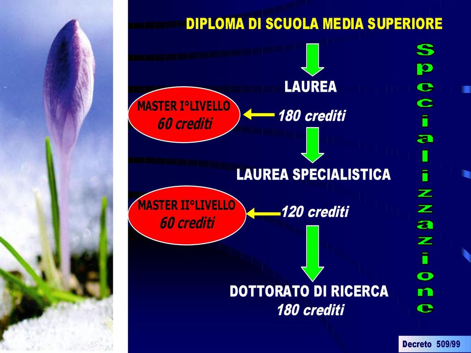 crediti MASTER II LIVELLO 60 crediti LAUREA SPECIALISTICA 120