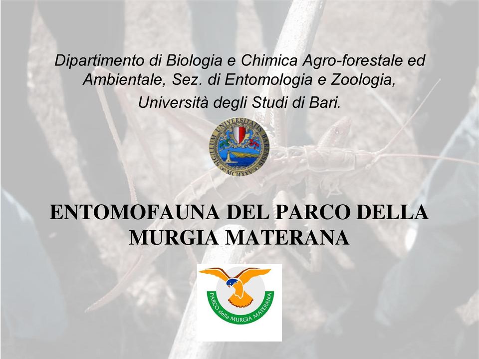 di Entomologia e Zoologia, Università