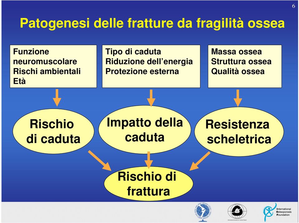 energia Protezione esterna Massa ossea Struttura ossea Qualità ossea