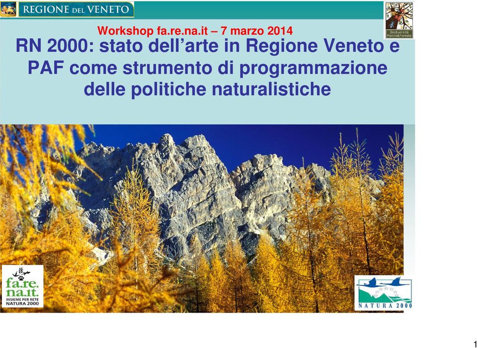 arte in Regione Veneto e PAF come