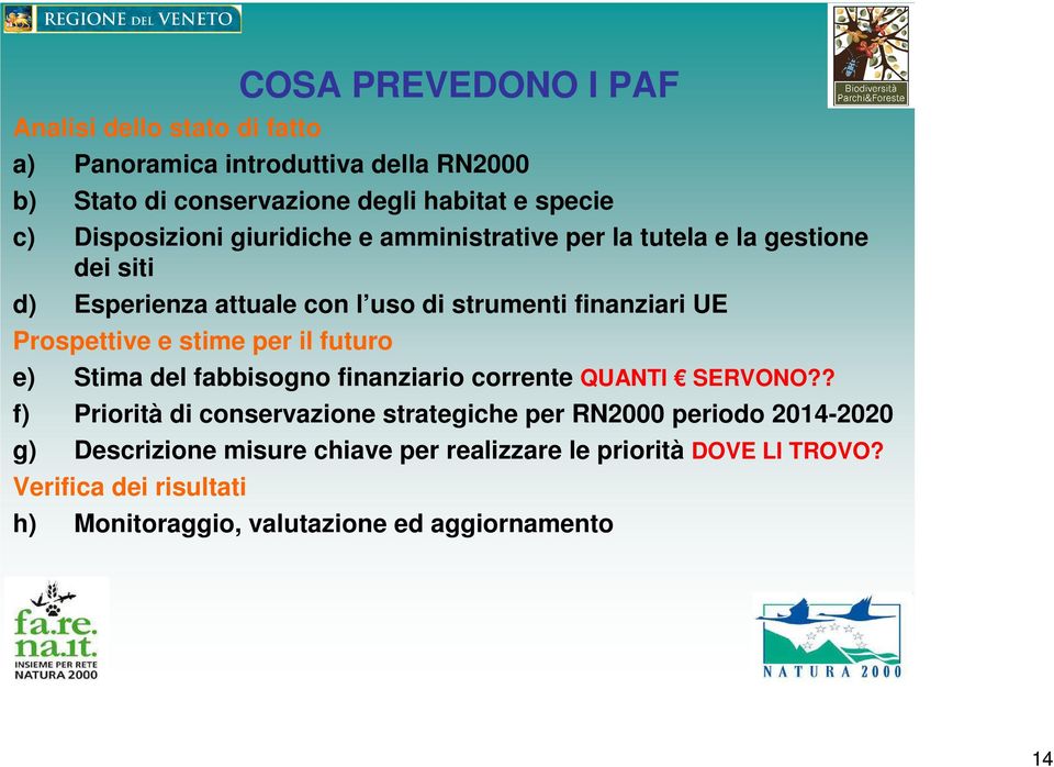 Prospettive e stime per il futuro e) Stima del fabbisogno finanziario corrente QUANTI SERVONO?