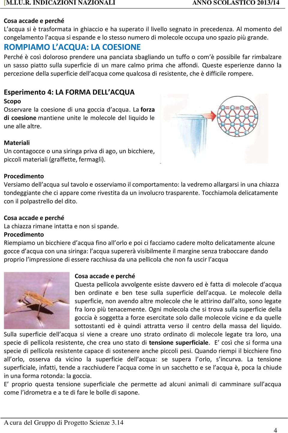 ROMPIAMO L ACQUA: LA COESIONE Perché è così doloroso prendere una panciata sbagliando un tuffo o com è possibile far rimbalzare un sasso piatto sulla superficie di un mare calmo prima che affondi.