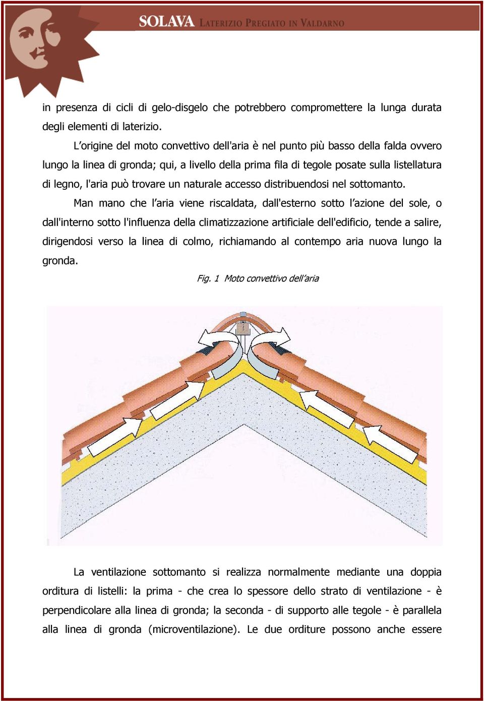 trovare un naturale accesso distribuendosi nel sottomanto.