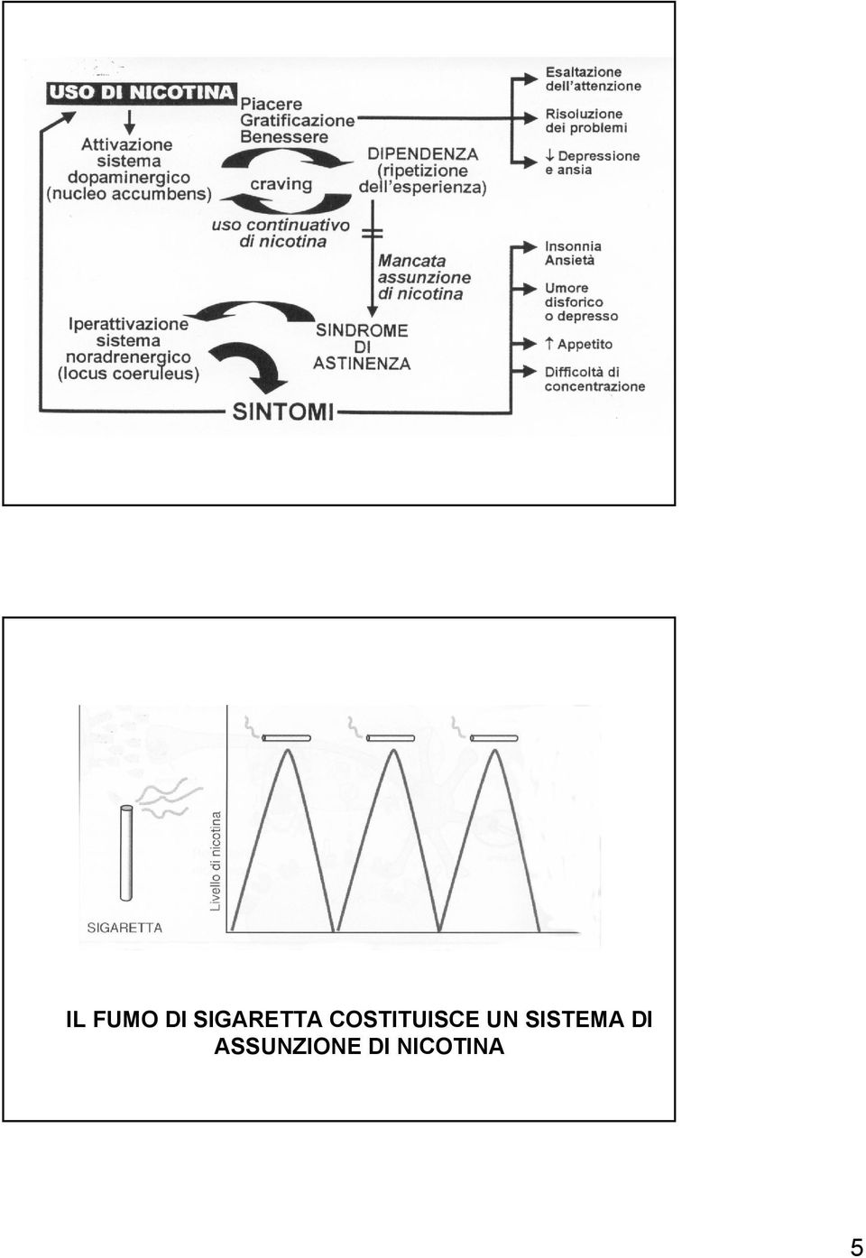 COSTITUISCE UN