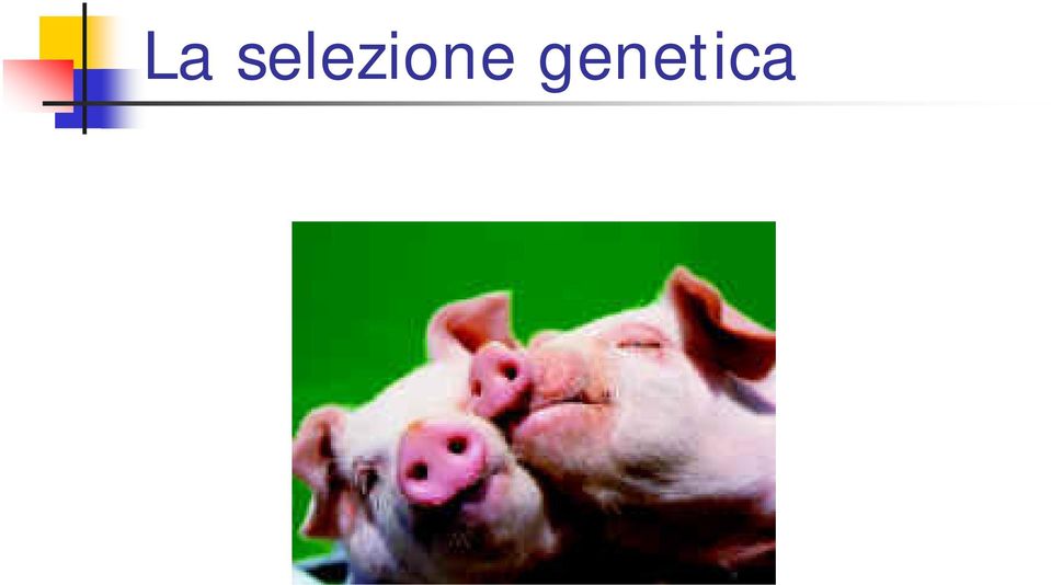 genetica