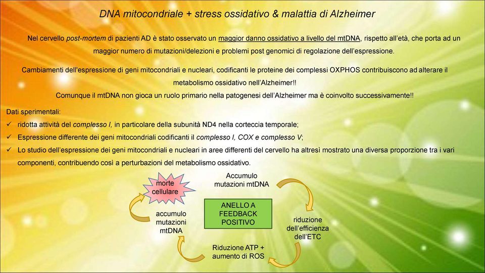 Cambiamenti dell'espressione di geni mitocondriali e nucleari, codificanti le proteine dei complessi OXPHOS contribuiscono ad alterare il Dati sperimentali: metabolismo ossidativo nell Alzheimer!